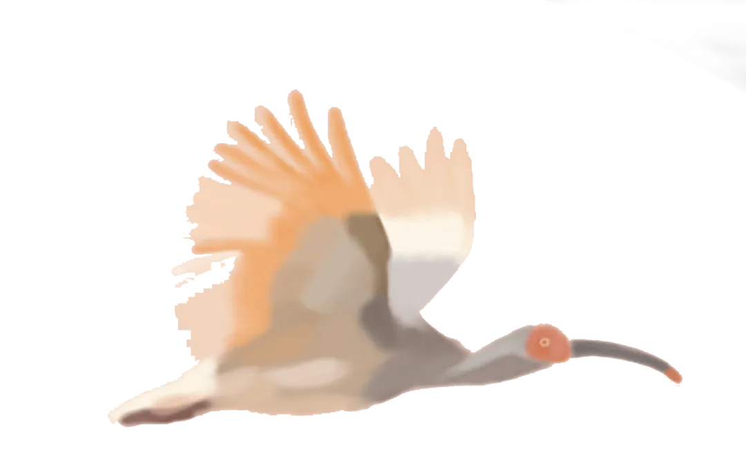 64000.png